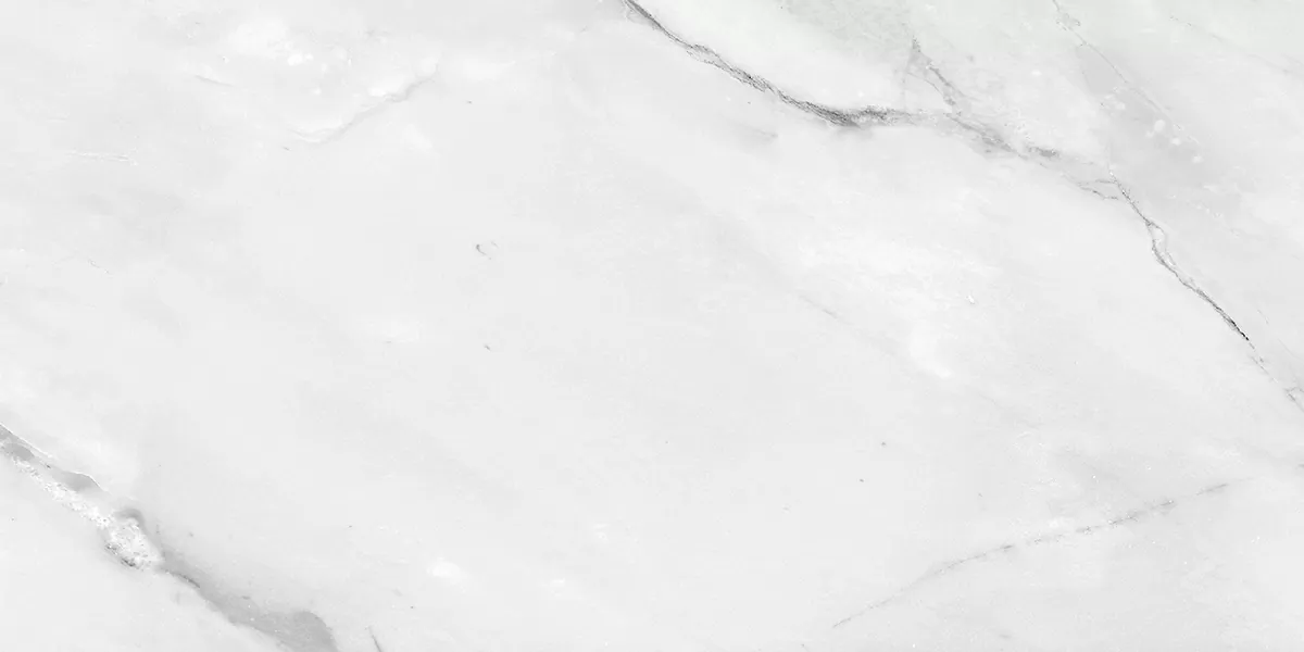 Керамогранит PRO 1187G Aquarelle Grey 1200x600