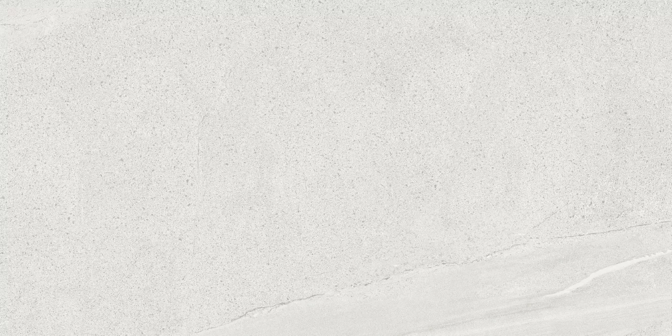 Керамогранит Tardivo Bianco MG 90x180