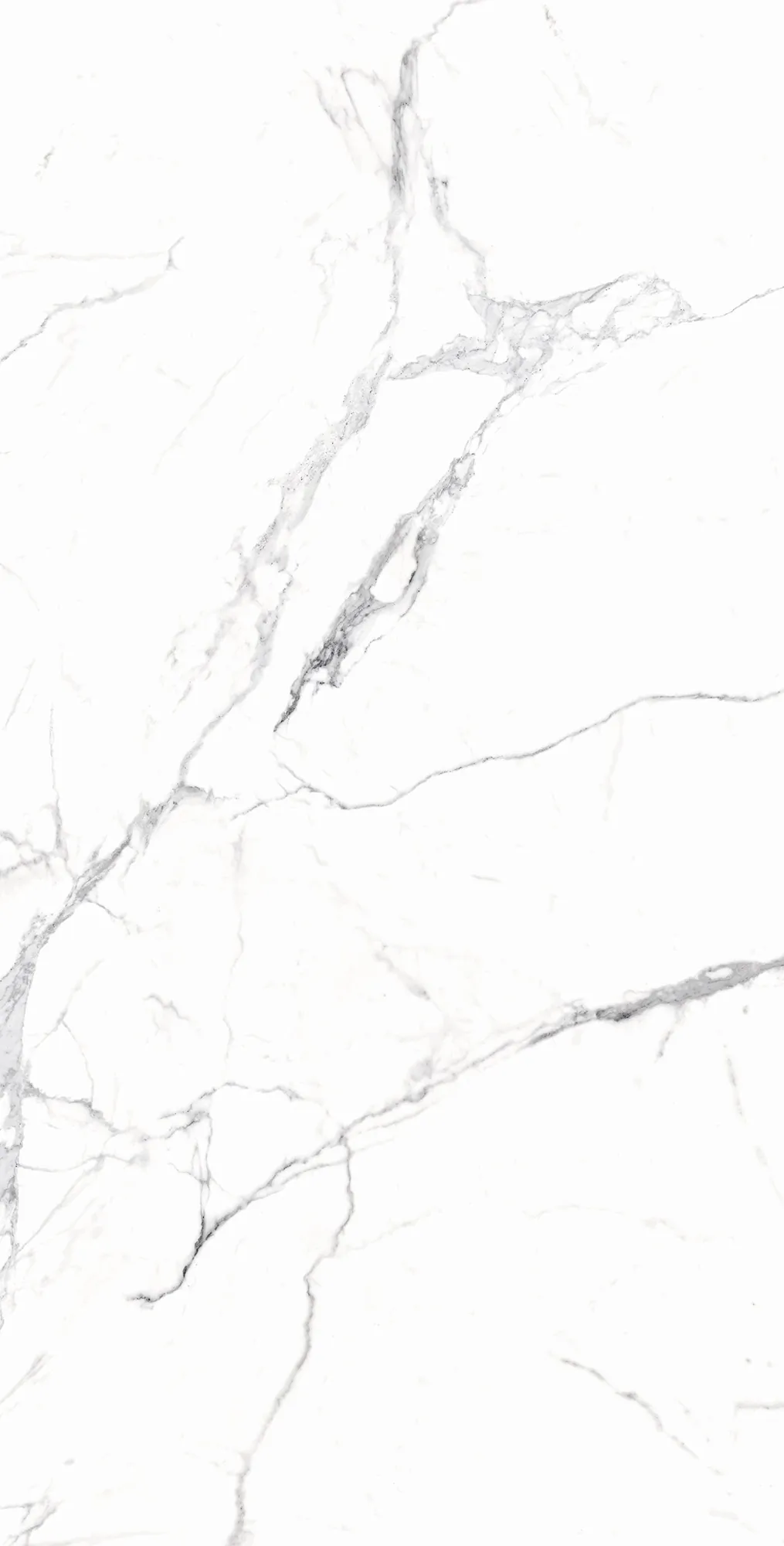 Керамогранит RT7018-A Carrara White Matt Rustic 60x120