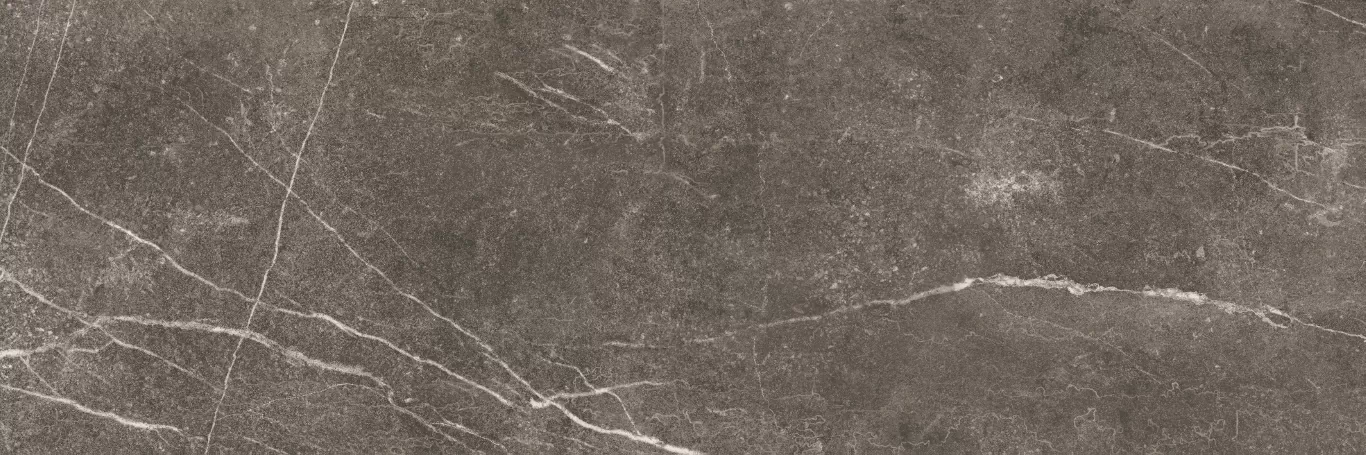 Плитка Shetland Dark Rectificado 33.3х100
