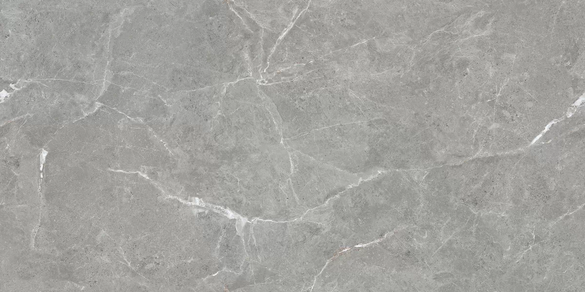 Керамогранит Stone Cool Grey Серый Матовый 60х120