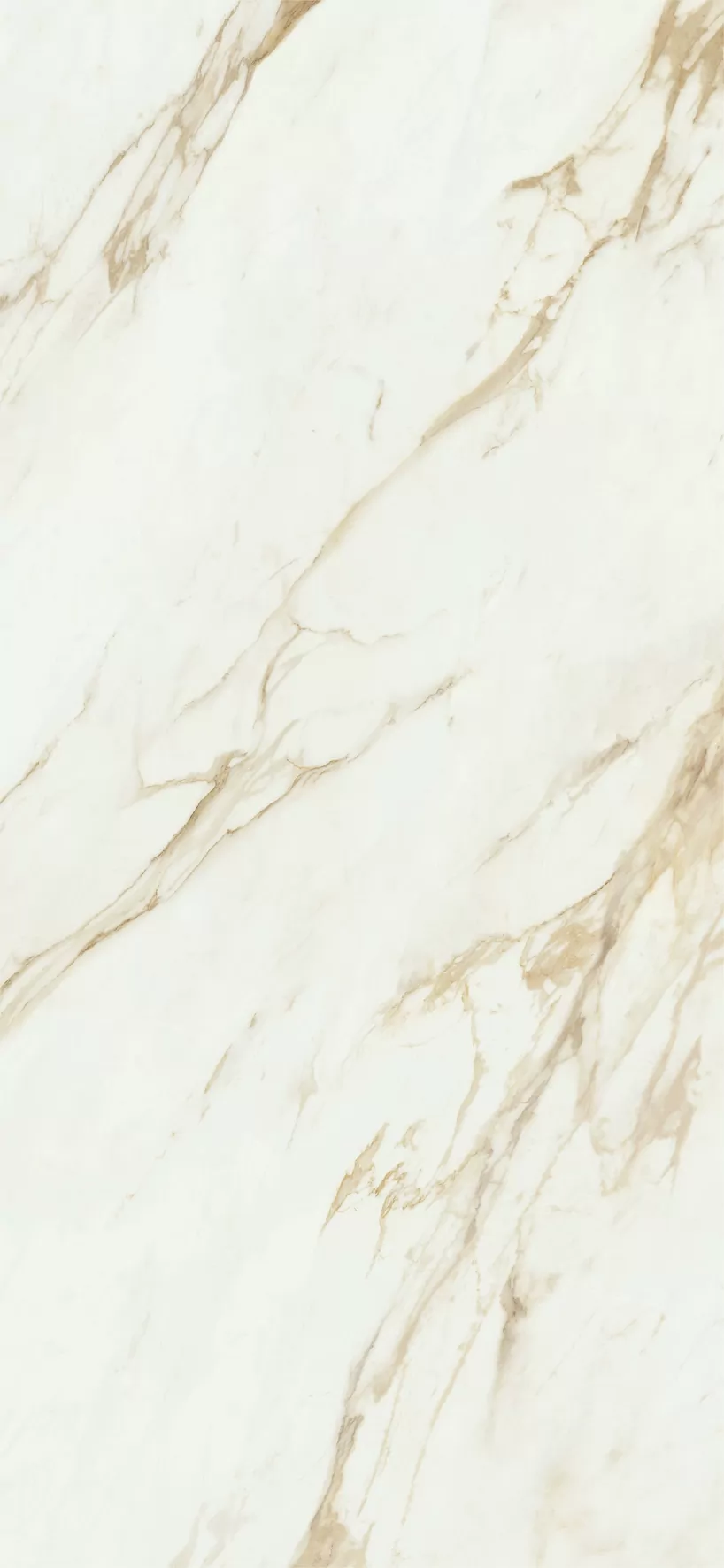 Керамогранит Adaggio Gold Pulido 120x260
