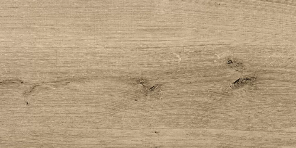 Керамогранит C-WS4O152D Woodhouse темно-бежевый 29,7х59,8