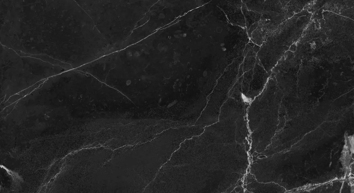 Керамогранит NR005 Dalim Black 60x30