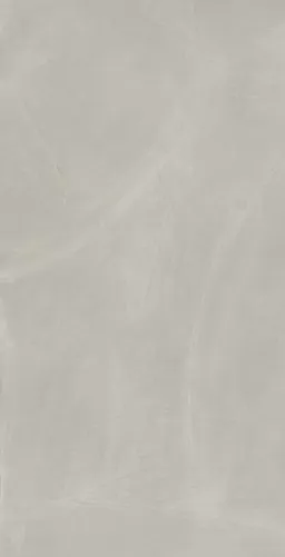 Керамогранит 610010002684 Continuum Silver 80x160