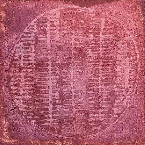 Плитка Carlo Granate-B 20x20