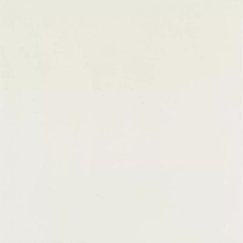 Керамогранит Elegant Surface Bianco Gres Rekt Mat 59.8x59.8