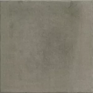 Керамогранит Nostalgy Antracita 20x20