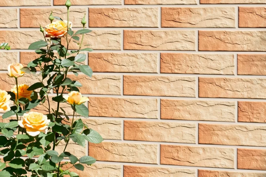 Клинкерная плитка 9768 Gobi elewacja rustiko 245x65x6,5