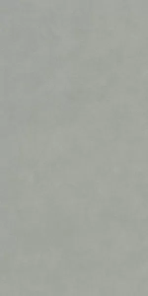 Керамогранит DD590900R Про Чементо серый матовый обрезной 119,5x238,5