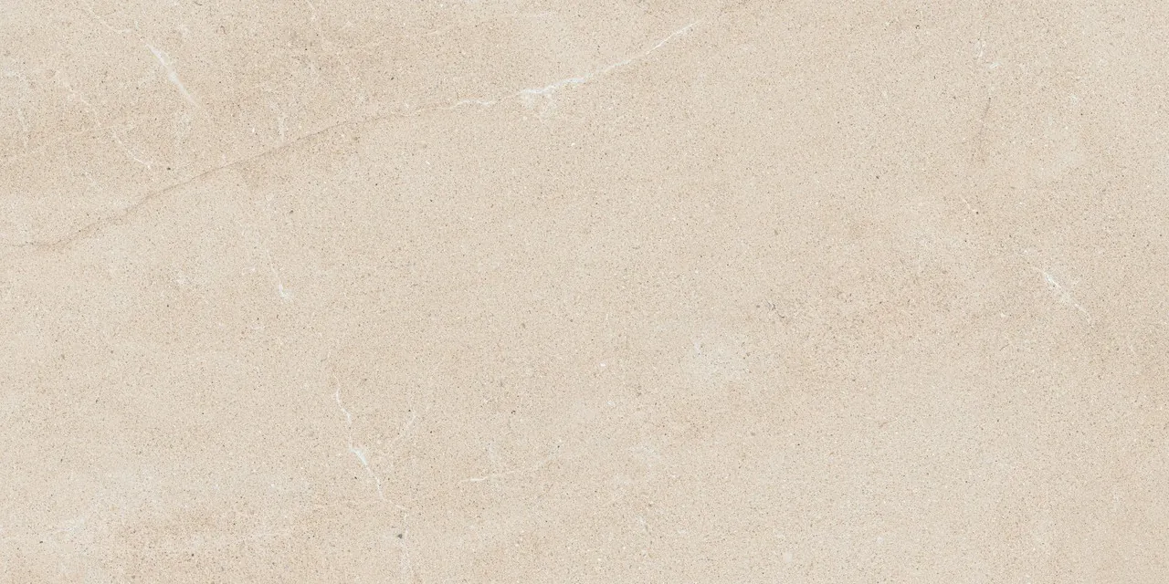 Керамогранит 610010005811 Forte dei Marmi Rock Venaria Black Matt Rett 80x160