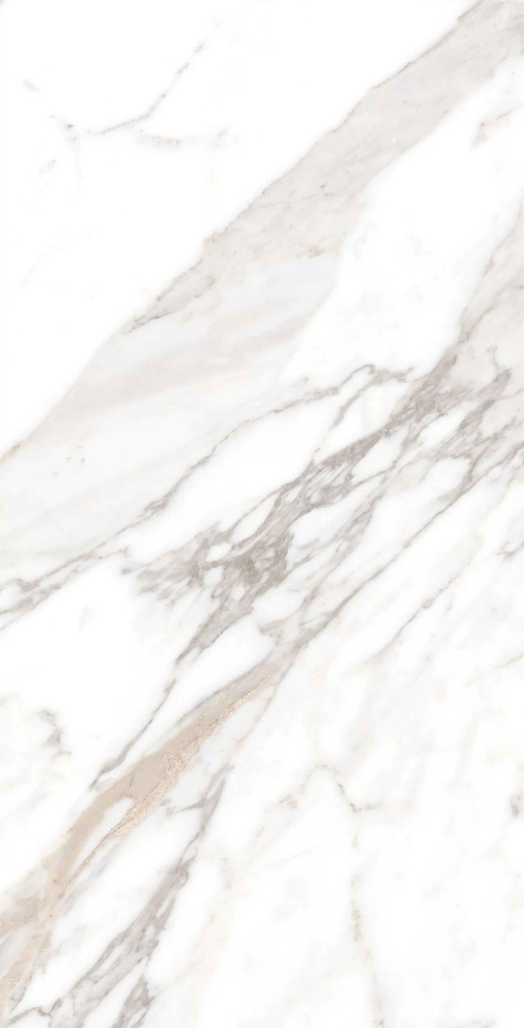 Керамогранит Calacatta Borghini Sugar 60х120