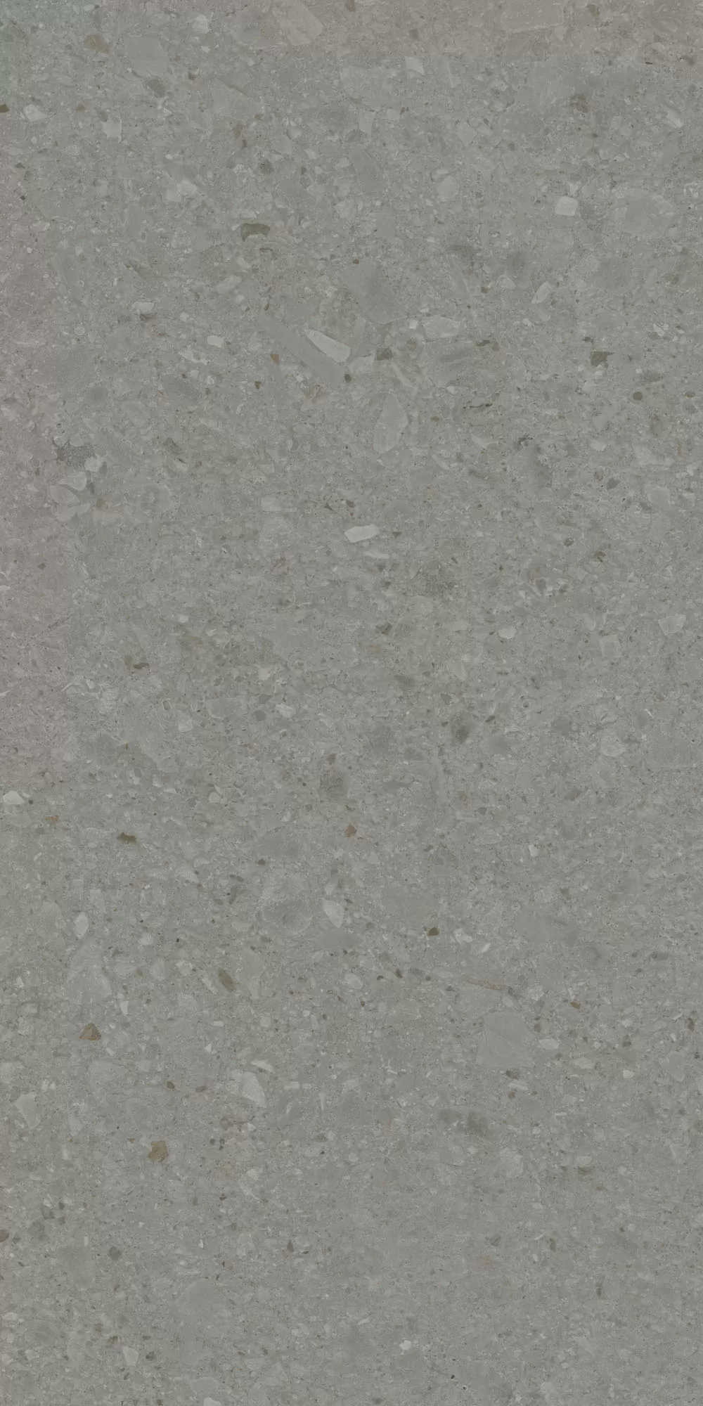 Керамогранит DD507920R Чеппо ди Гре серый тёмный матовый обрезной 60x119,5x0,9