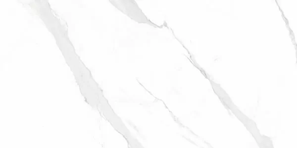 Керамогранит Statuary Blanco Leviglass 60x120
