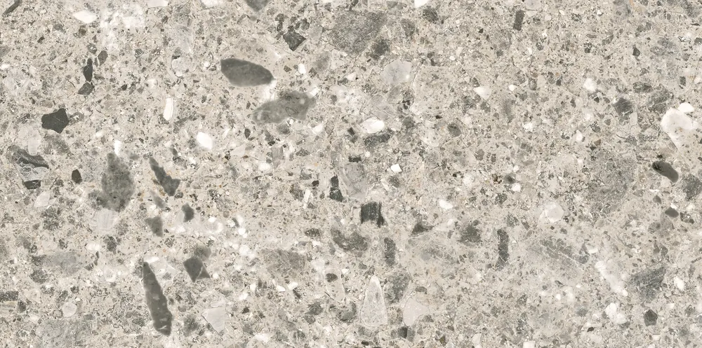 Керамогранит C-SC4L092D Space серый 29,7x59,8