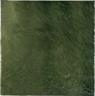 Керамогранит 25402 Agora Relief Green 25х25