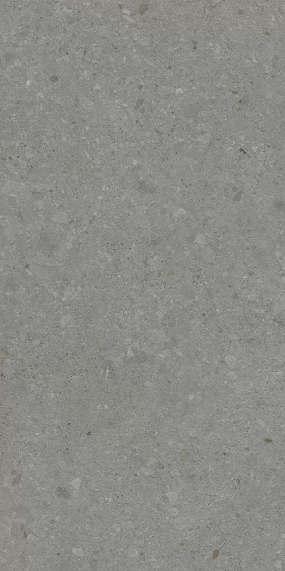 Керамогранит DD507920R Чеппо ди Гре серый тёмный матовый обрезной 60x119,5x0,9