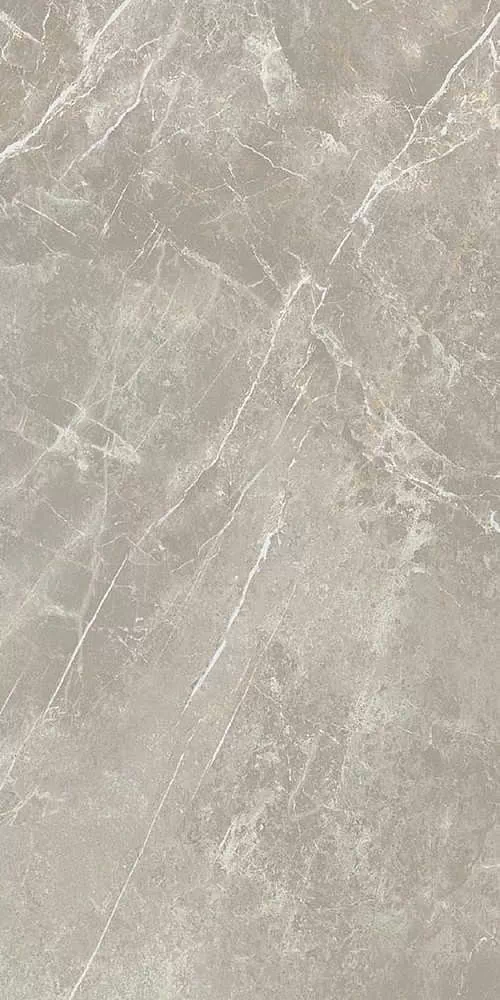 Керамогранит 766528 Elemental Grey Dolomia Luc Ret 60x120