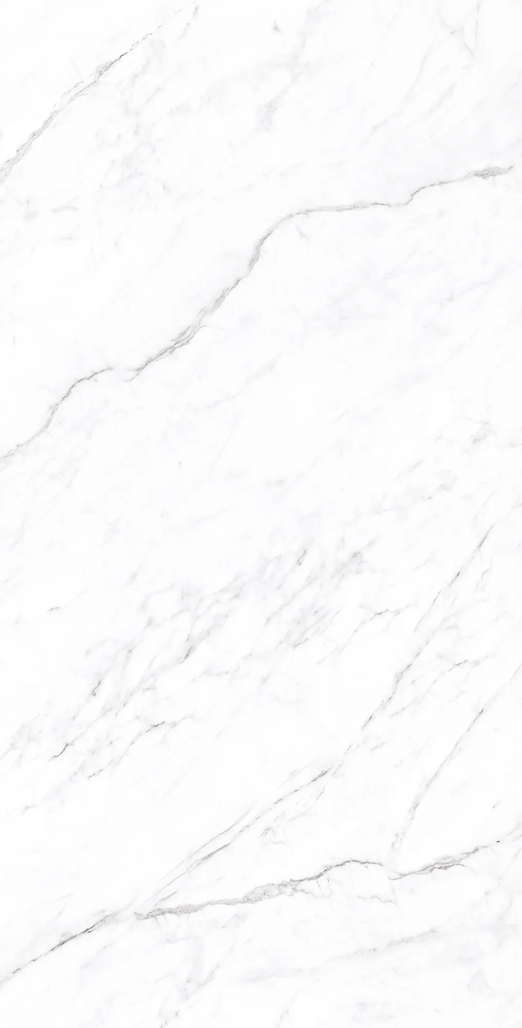 Керамогранит CP4003-A Coralina White Carving Pro 60x120