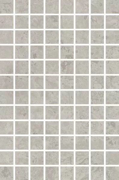 Мозаика MM8350 Ферони мозаичный серый матовый 20x30