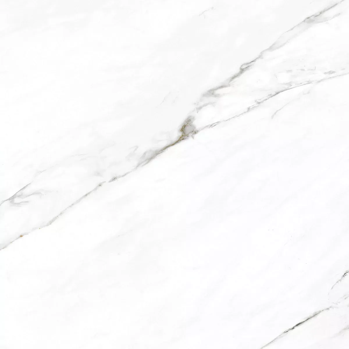 Керамогранит E-3011/MR Harmony Каррара белый ректификат 600x600x9