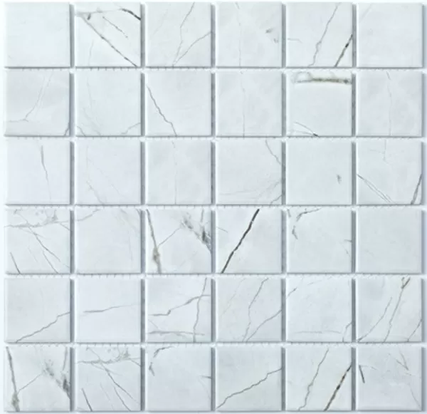 Мозаика P-509 Porcelain series 306*306