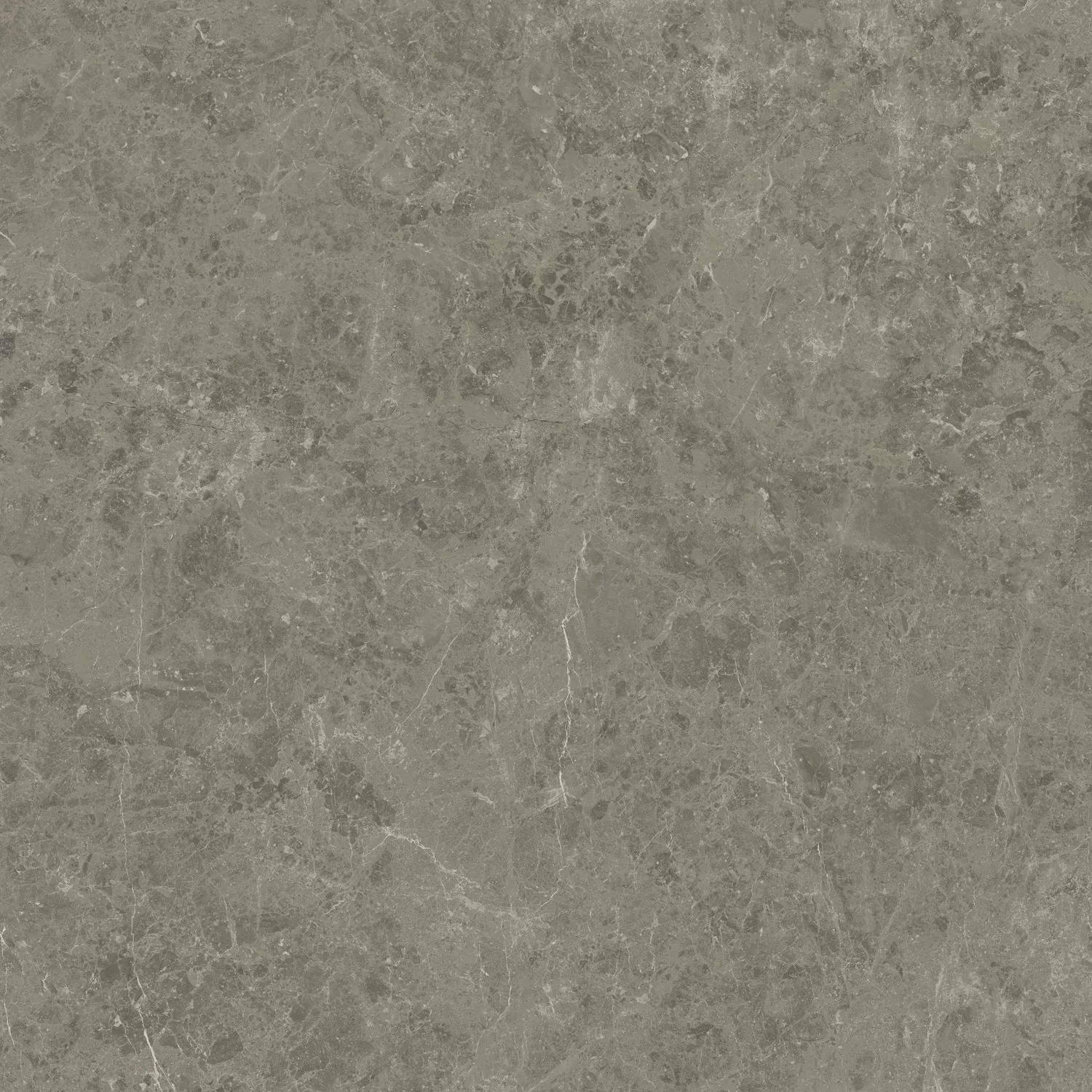 Керамогранит AJIL Marvel Meraviglia Grigio Elegante Velvet 120x120