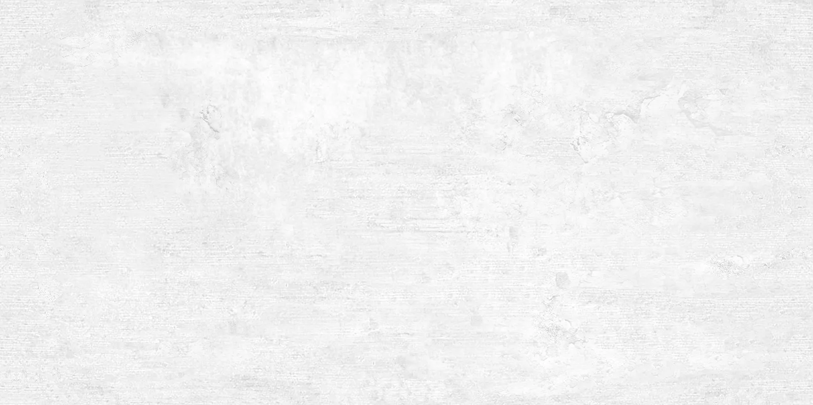Плитка WT9BTN00 Beton Gray 24.9х50