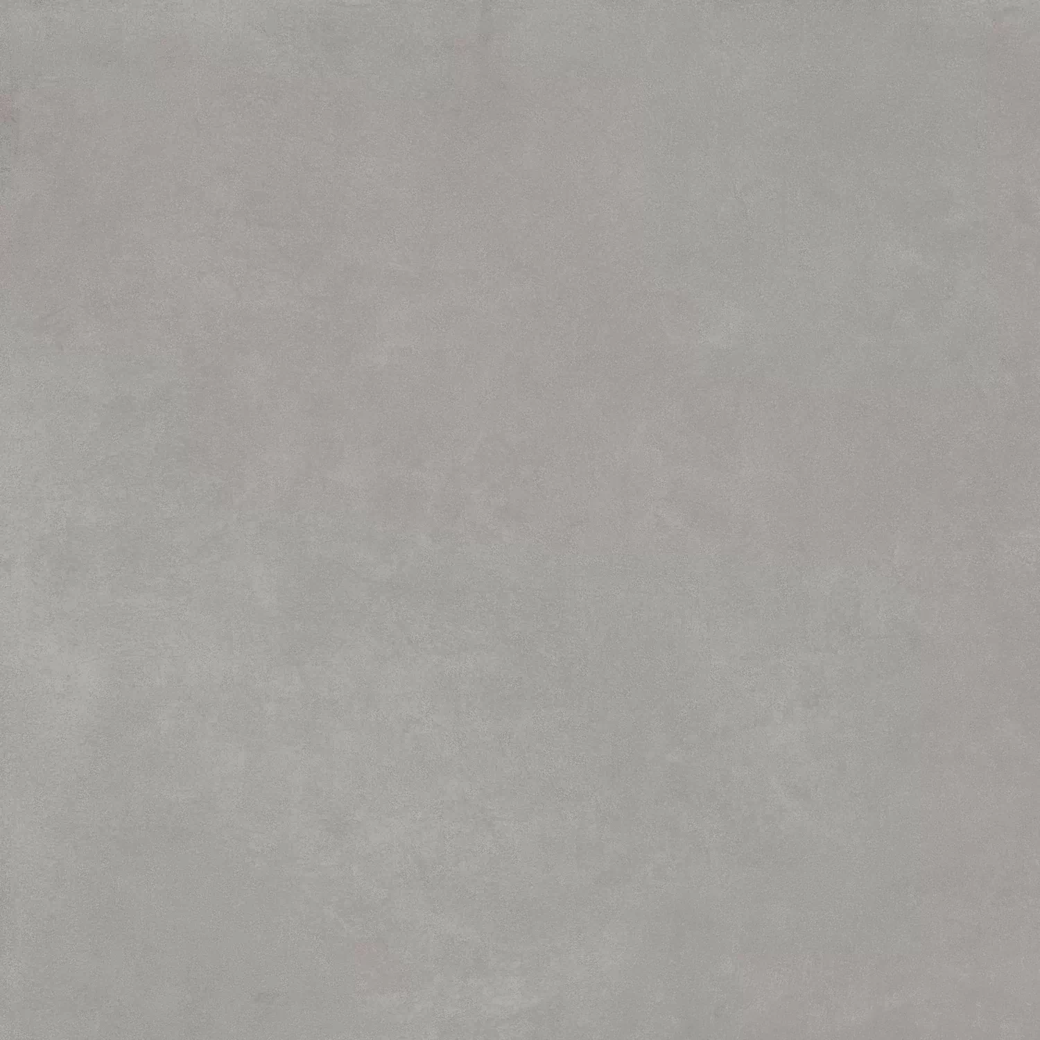 Керамогранит 610010002644 Rinascente Grey Rect R9 80x80