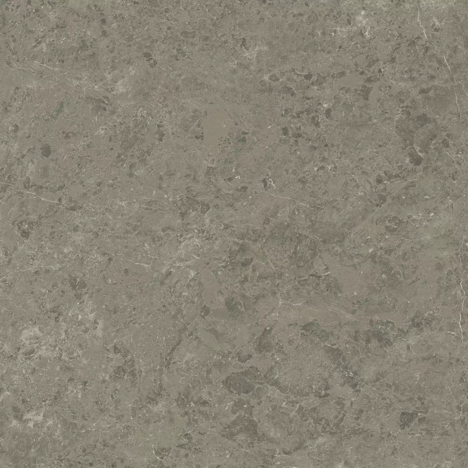 Керамогранит AJIL Marvel Meraviglia Grigio Elegante Velvet 120x120