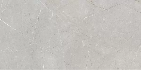 Керамогранит Larice Grey 60x120