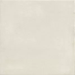 Керамогранит PT03092 Faenza Bianco 20x20