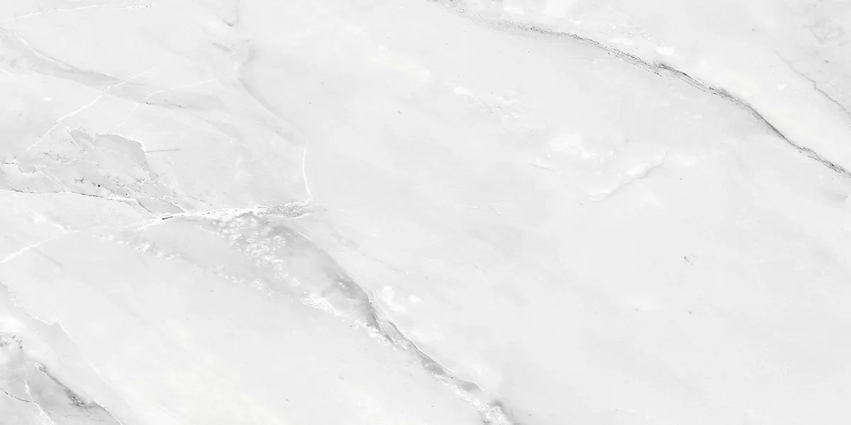 Керамогранит PRO 1187G Aquarelle Grey 1200x600