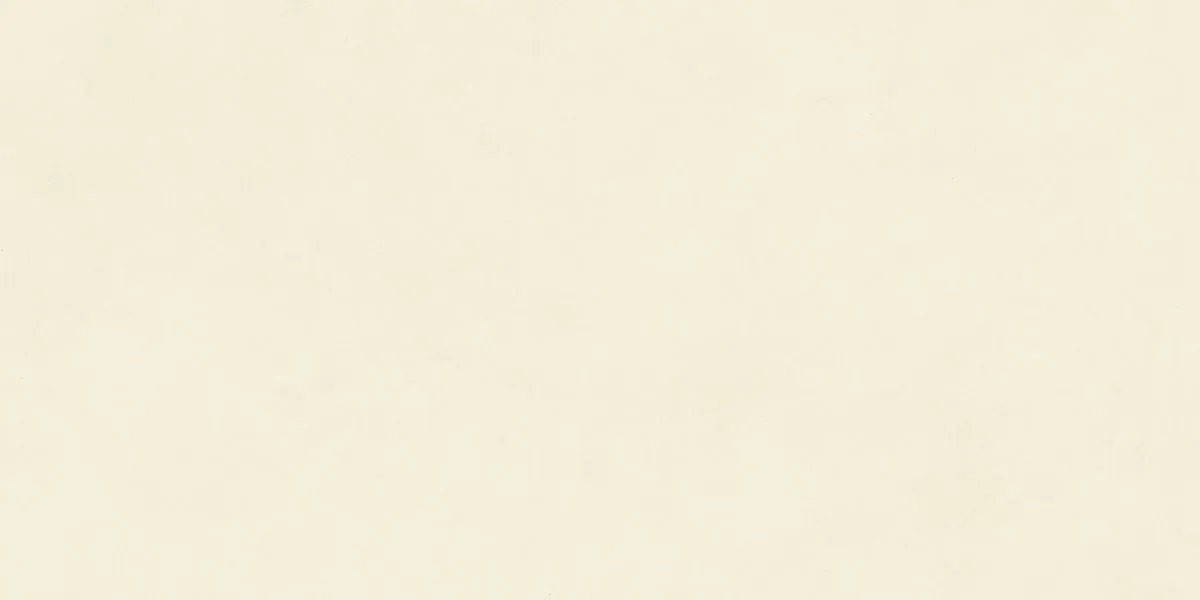 Керамогранит N12035 Blossom Salix Matt 60x120
