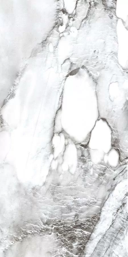 Керамогранит PR221 Acacia polished 600х1200х9