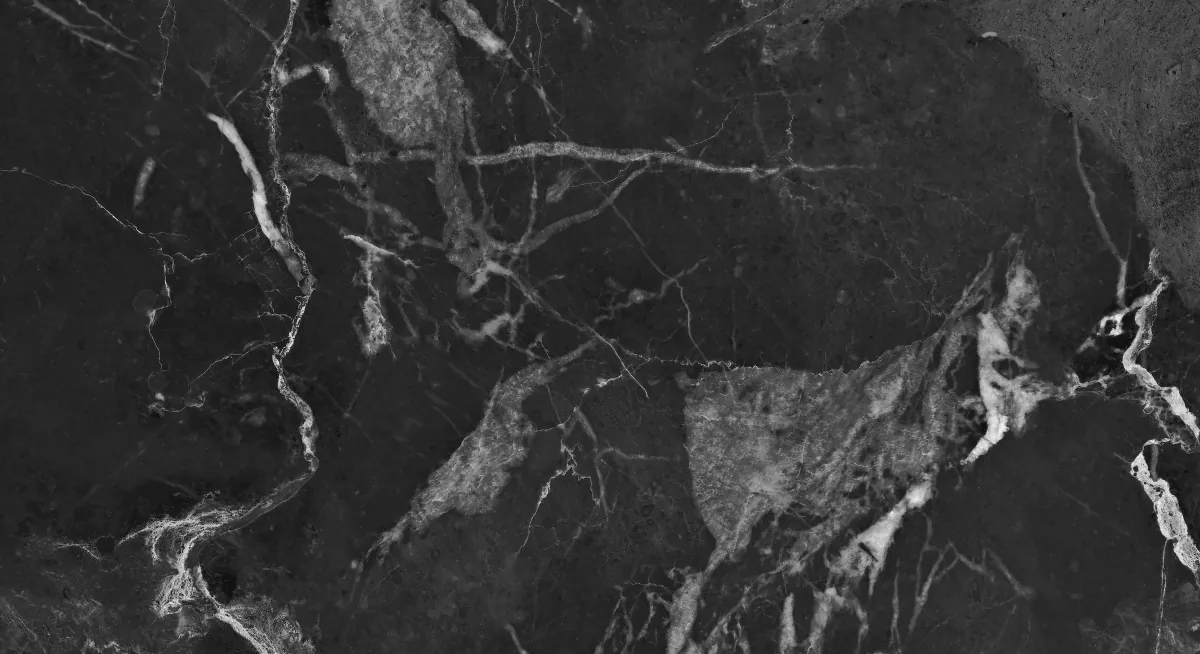 Керамогранит NR005 Dalim Black 60x30