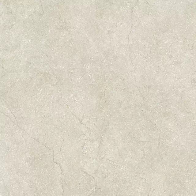Керамогранит 778698 Stone Life Shell Matte Ret 60x60