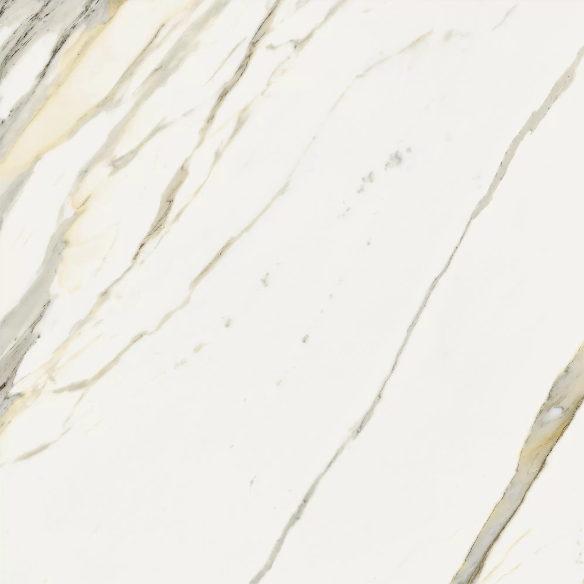 Керамогранит 600010002387 Stellaris Calacatta Gold Nat Ret 120x120