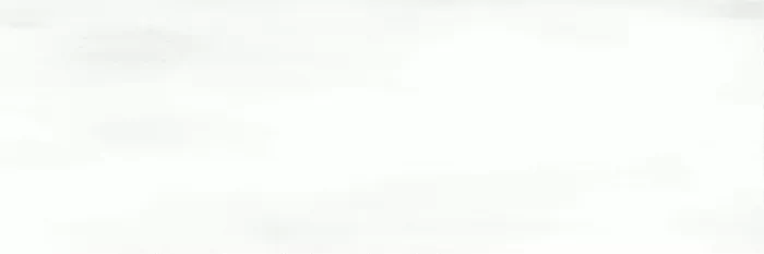Керамогранит ENCLR6059MT722 Camelot White Matt 75х225х8