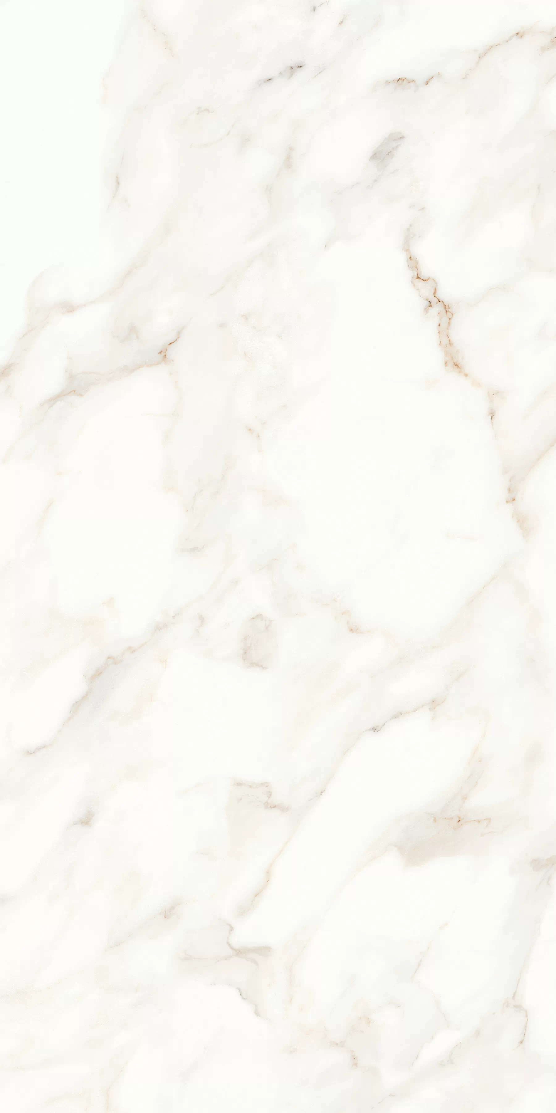 Керамогранит MPL-058623 Calacatta Polished 60x120