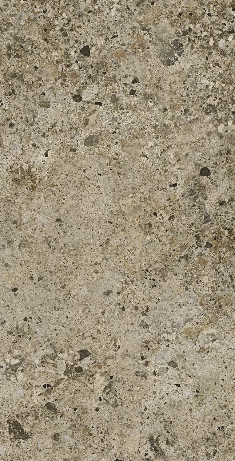 Керамогранит AC126196A Pietra Viva Matt 60x120