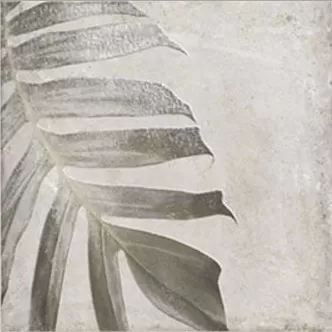 Плитка Tahiti White 20x20