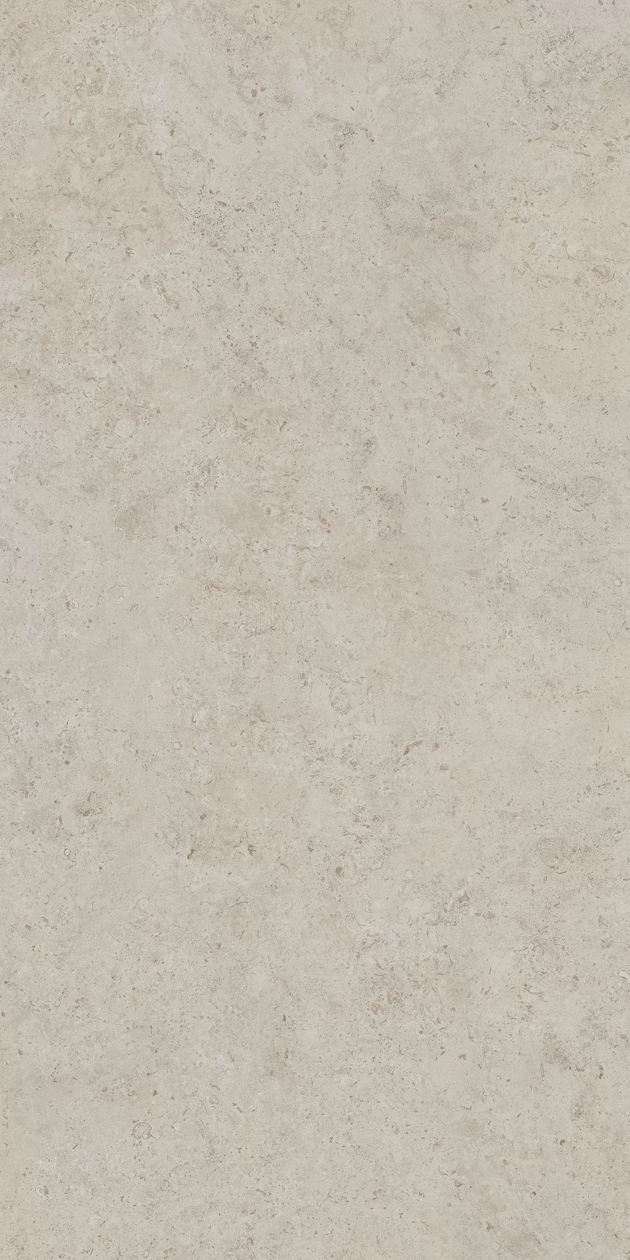 Керамогранит DD590400R Про Лаймстоун АТ бежевый натуральный обрезной R10 119,5х238,5