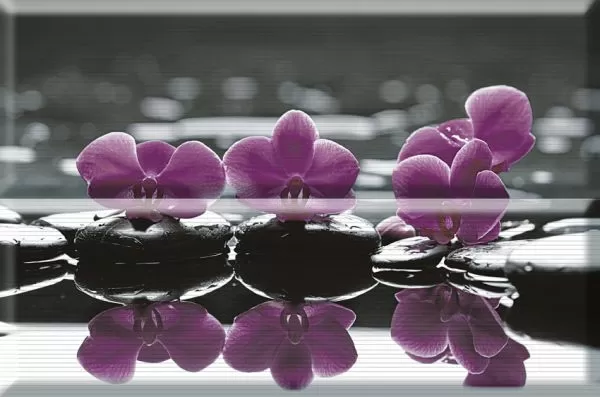 Плитка Composicion Wellness 02 Purple 30x45 (комплект 2шт)