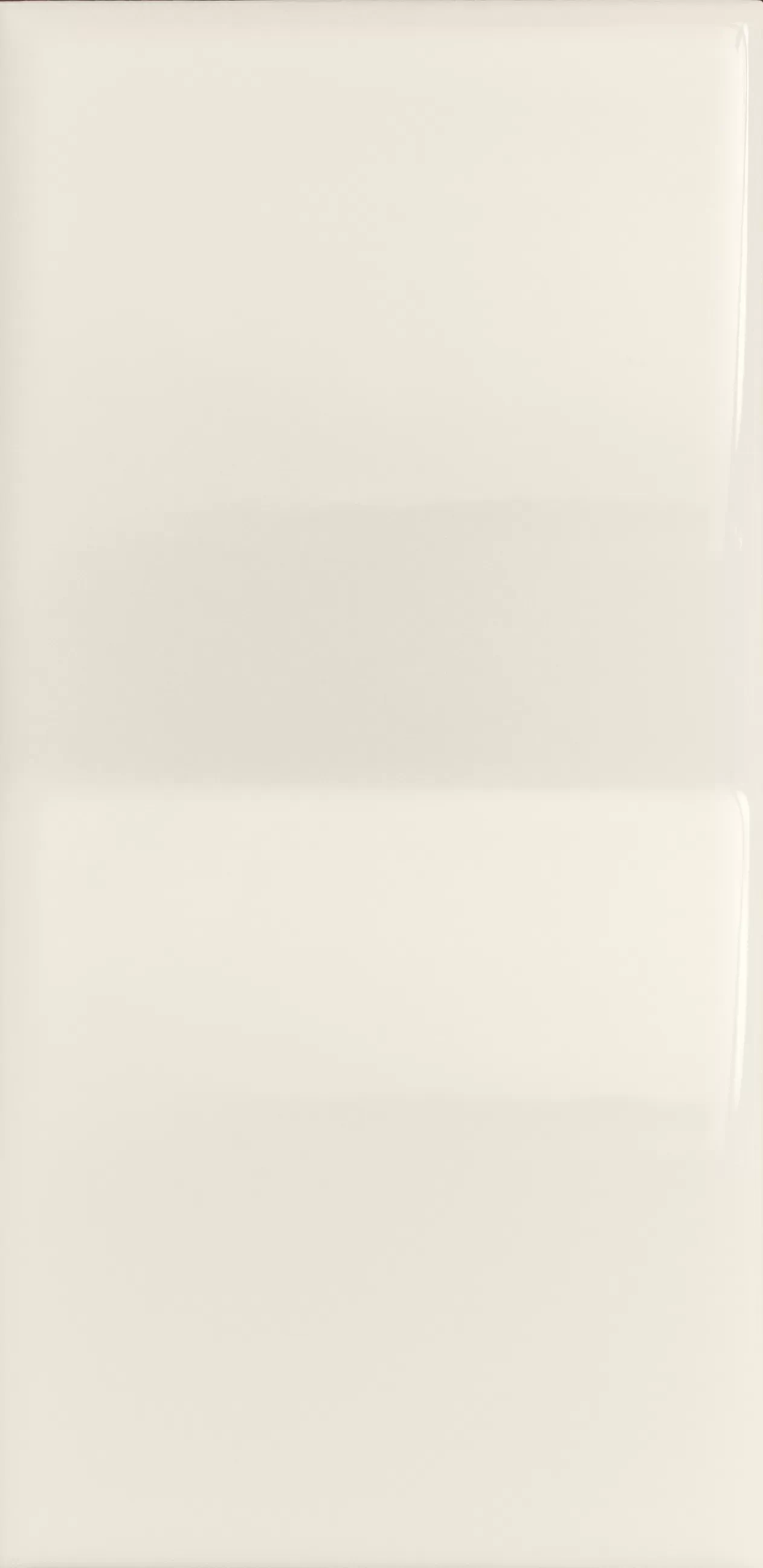 Плитка 4101103 Mou Milk Glossy Mix 6,2x12,5