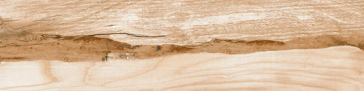 Керамогранит 0054 PHOENIX 60х15х08