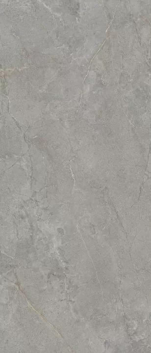 Керамогранит LS6AL40 Anthology Slimtech 04 Gray Natural RT 6mm 120x278