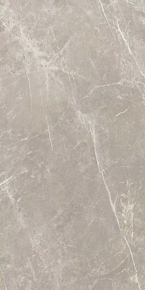 Керамогранит 766528 Elemental Grey Dolomia Luc Ret 60x120