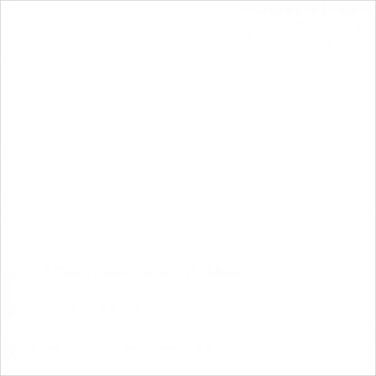 Керамогранит E-100/MR Моноколор 600x600x9