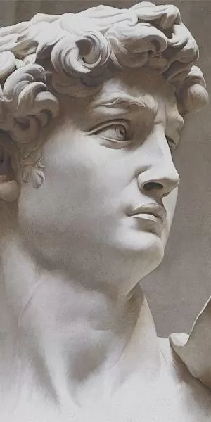 Керамогранит VT/B564/SG5918R Ковер Давид 2 матовый 119,5х238,5